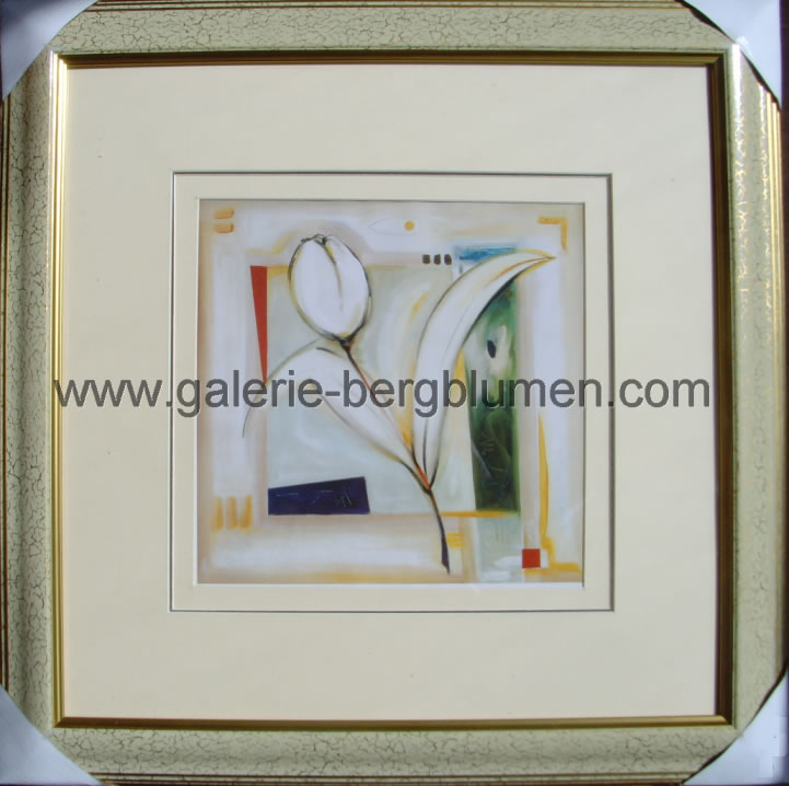 Kunstdruck - 
                                Weisse Tulpe, Bild in hellen Pastellfarben - H/B 45cm/45cm