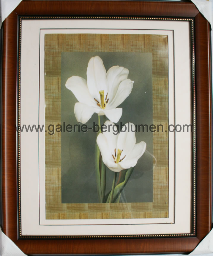 Kunstdruck - 
                                Weise Lilien, Bild in Pastellfarben - H/B 58cm/48cm