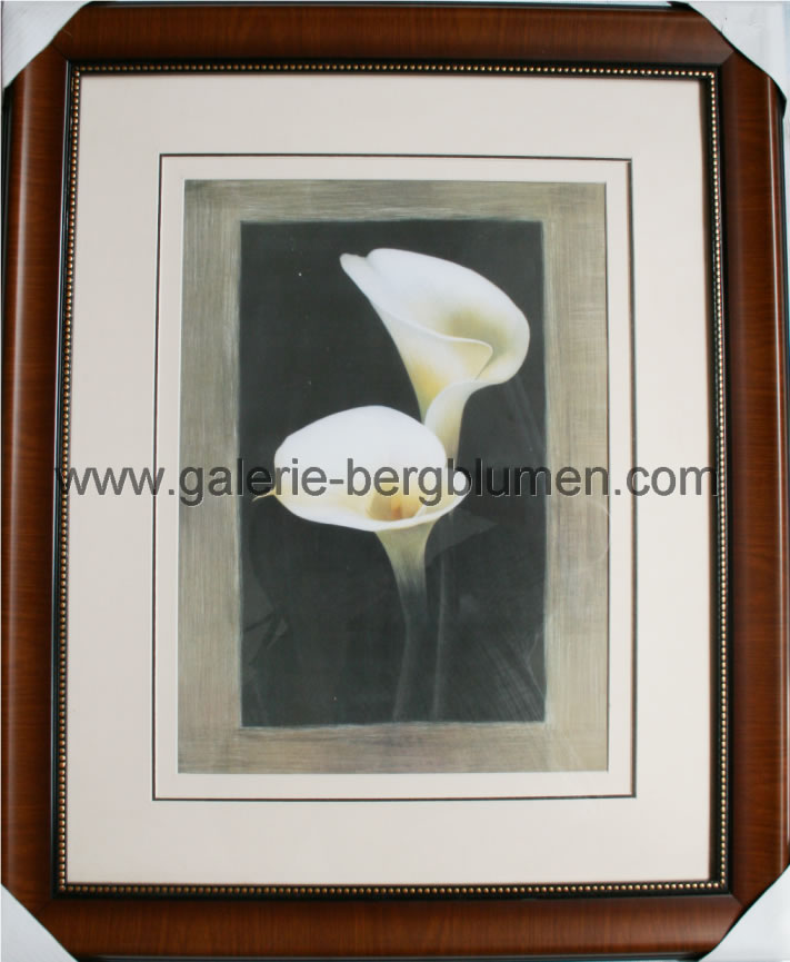Kunstdruck - 
                                Weise Orchideen, Bild in Pastellfarben - H/B 58cm/48cm