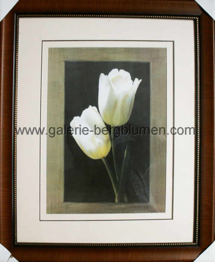 Kunstdruck - 
                                Weise Tulpen, Bild in Pastellfarben - H/B 58cm/48cm