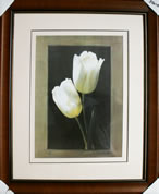 Kunstdruck - 
                            	Weise Tulpen, Bild in Pastellfarben - H/B 58cm/48cm